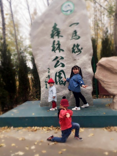一马树森林公园(暂停开放)旅行图片 2