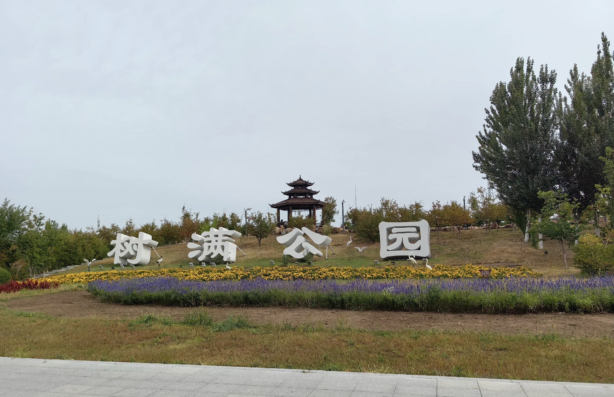 树满公园