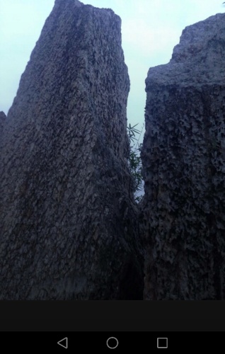 永阜公园旅行图片 1