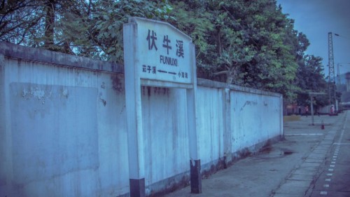 伏牛溪社区公园旅行图片 1