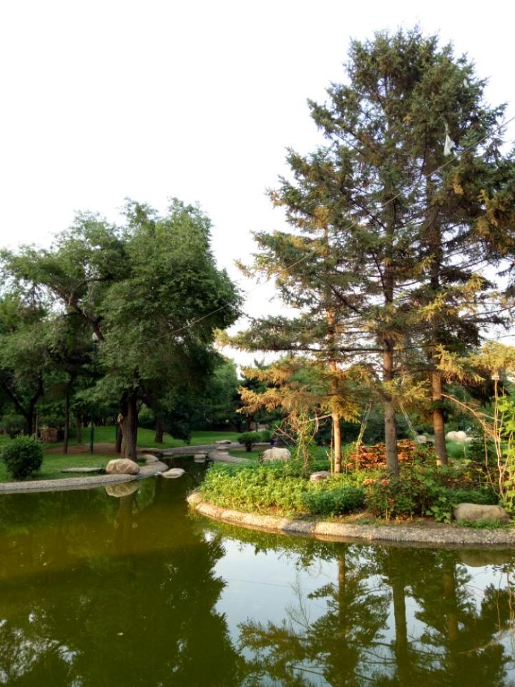 青年公园景点图片