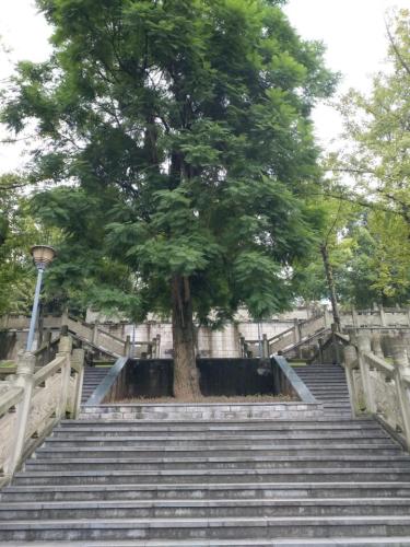 绿壁公园旅行图片 2