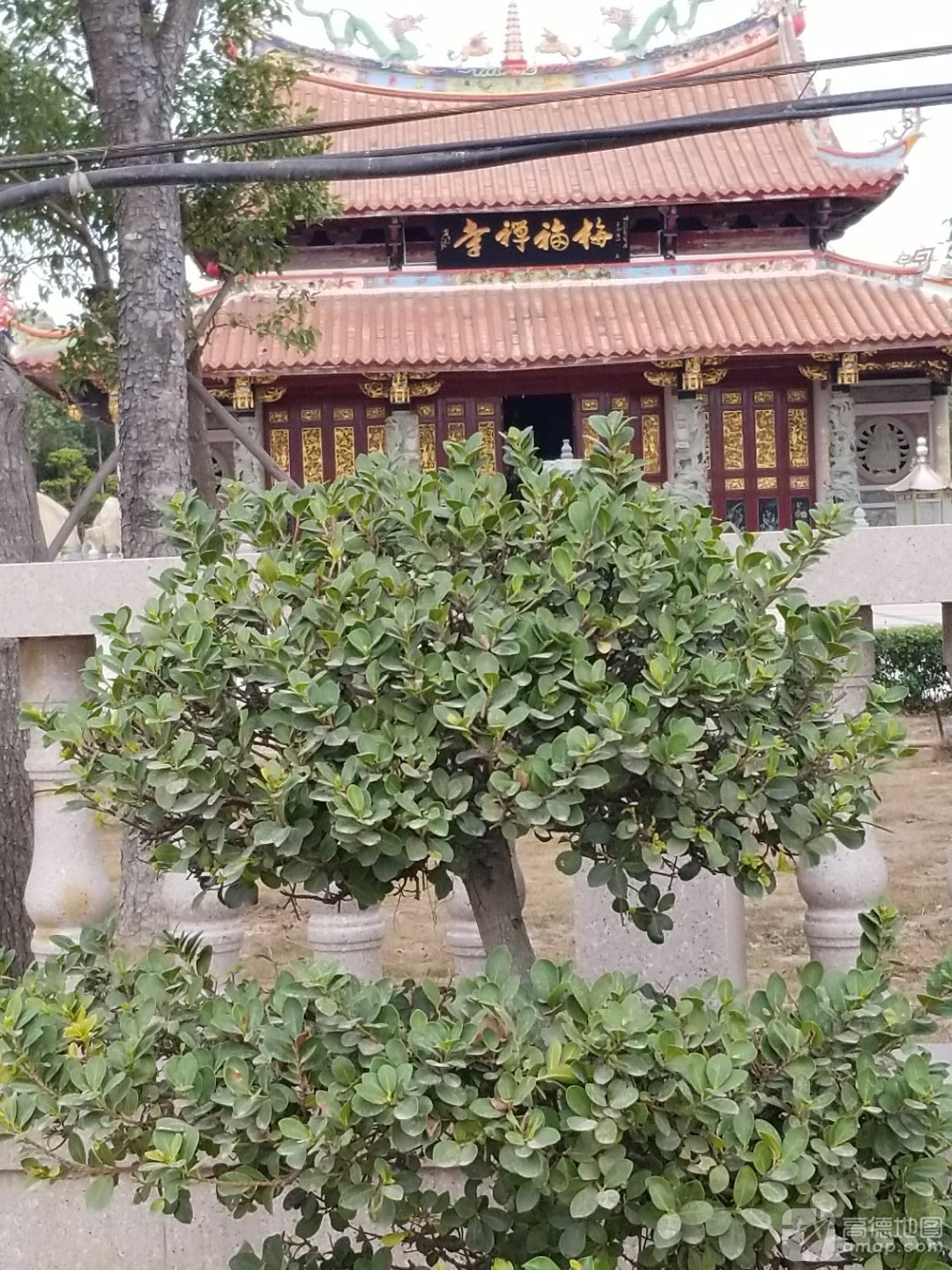 东华梅福禅寺实景照片