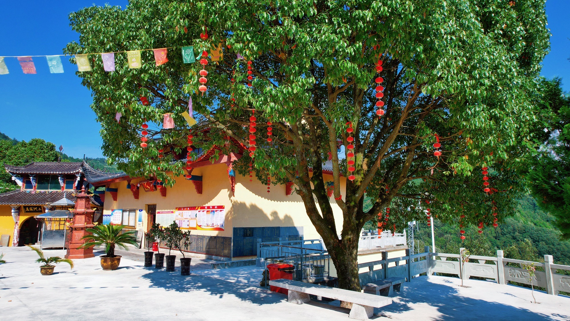 兰溪市凤凰寺实景照片
