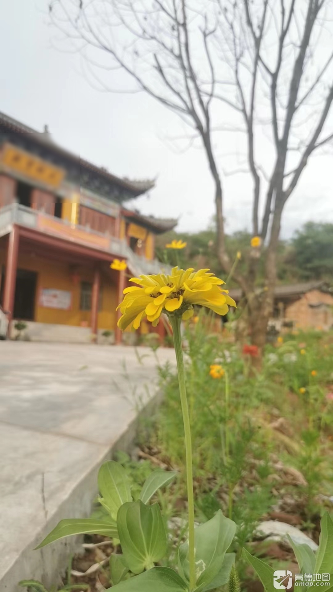 狮子寺实景照片
