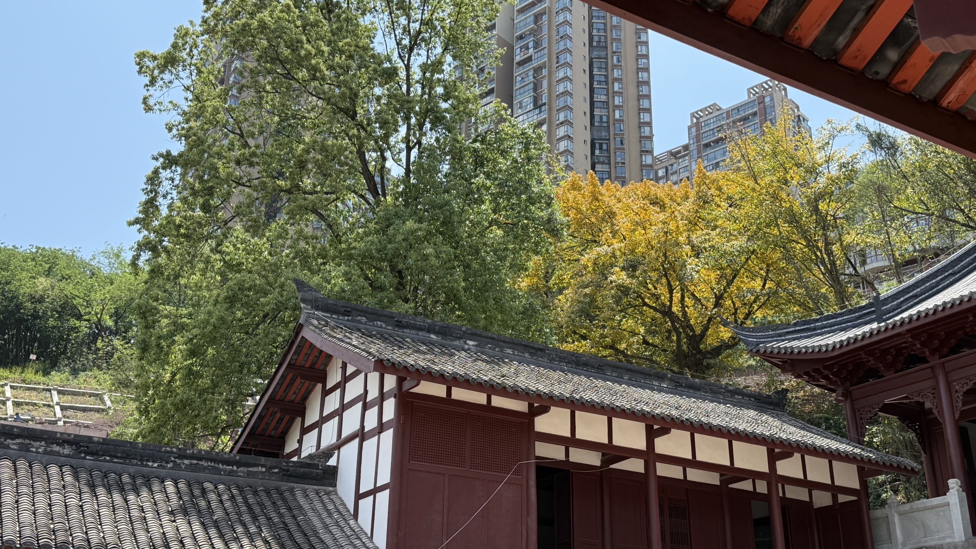 广安文庙(建设中)实景照片