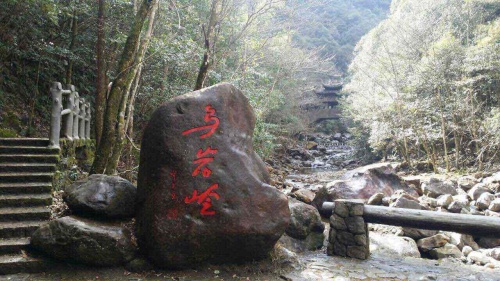 温州三条桥旅行图片 3