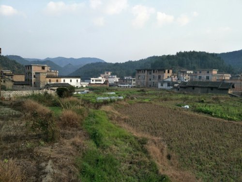 石头镇大垌风景区旅行图片 2