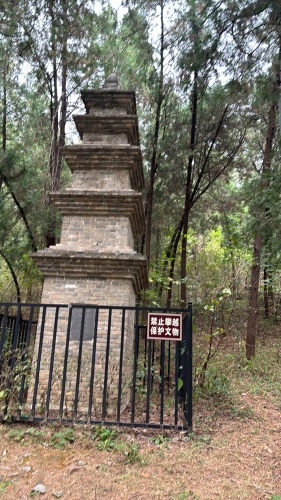 塔林