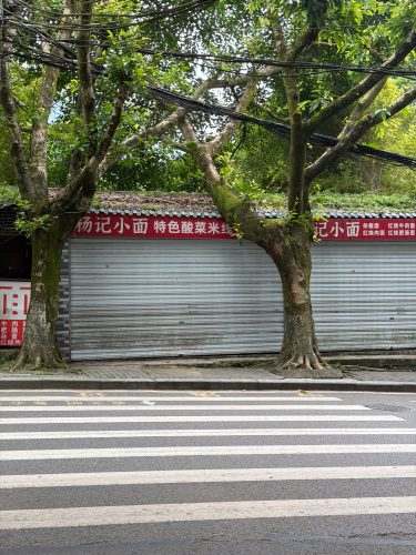 南山塔宝农家乐