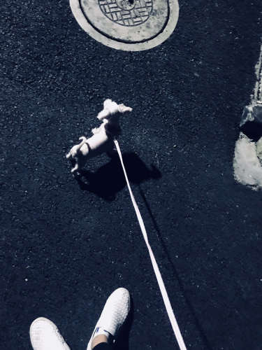 印溪生态湿地公园旅行图片 1
