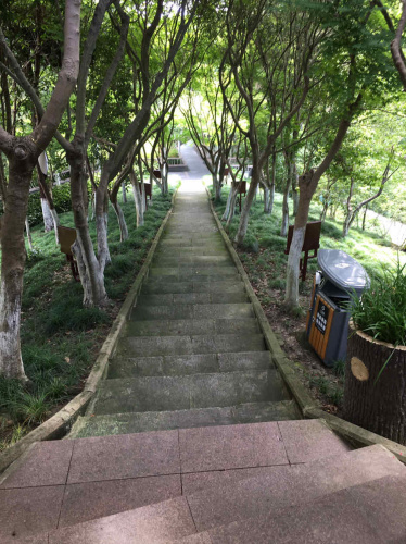 望春园旅行图片 3