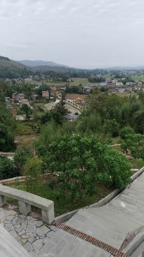 双桂田园·万石耕春景区旅行图片 3