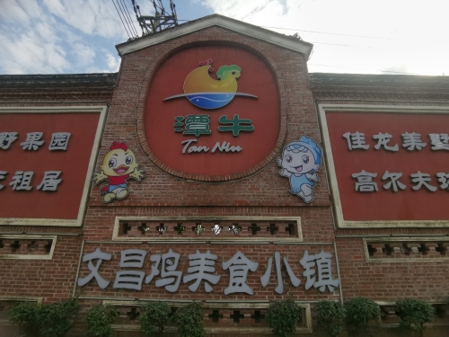 文昌鸡美食小镇