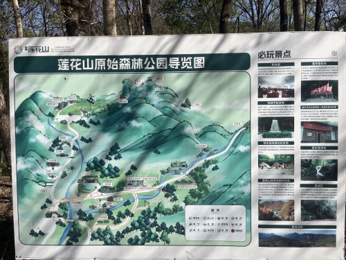 莲花山原始森林公园