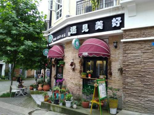 白鹿森林公园旅行图片 2