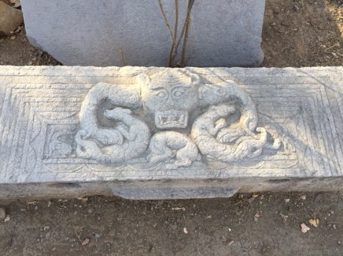 崇孝苑旅行图片 3