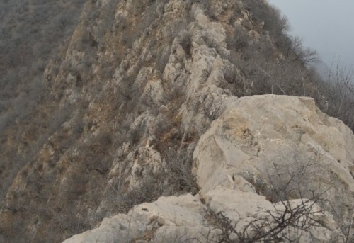 狗牙山旅行图片 1