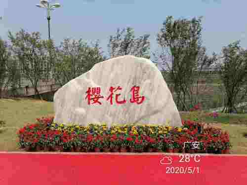 樱花岛旅行图片 2