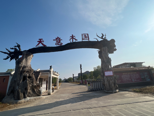 阳朔天意木国