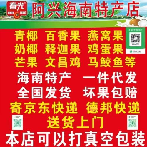 阿兴海南特产店