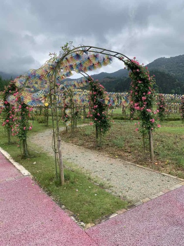 花千谷庄园旅行图片 3