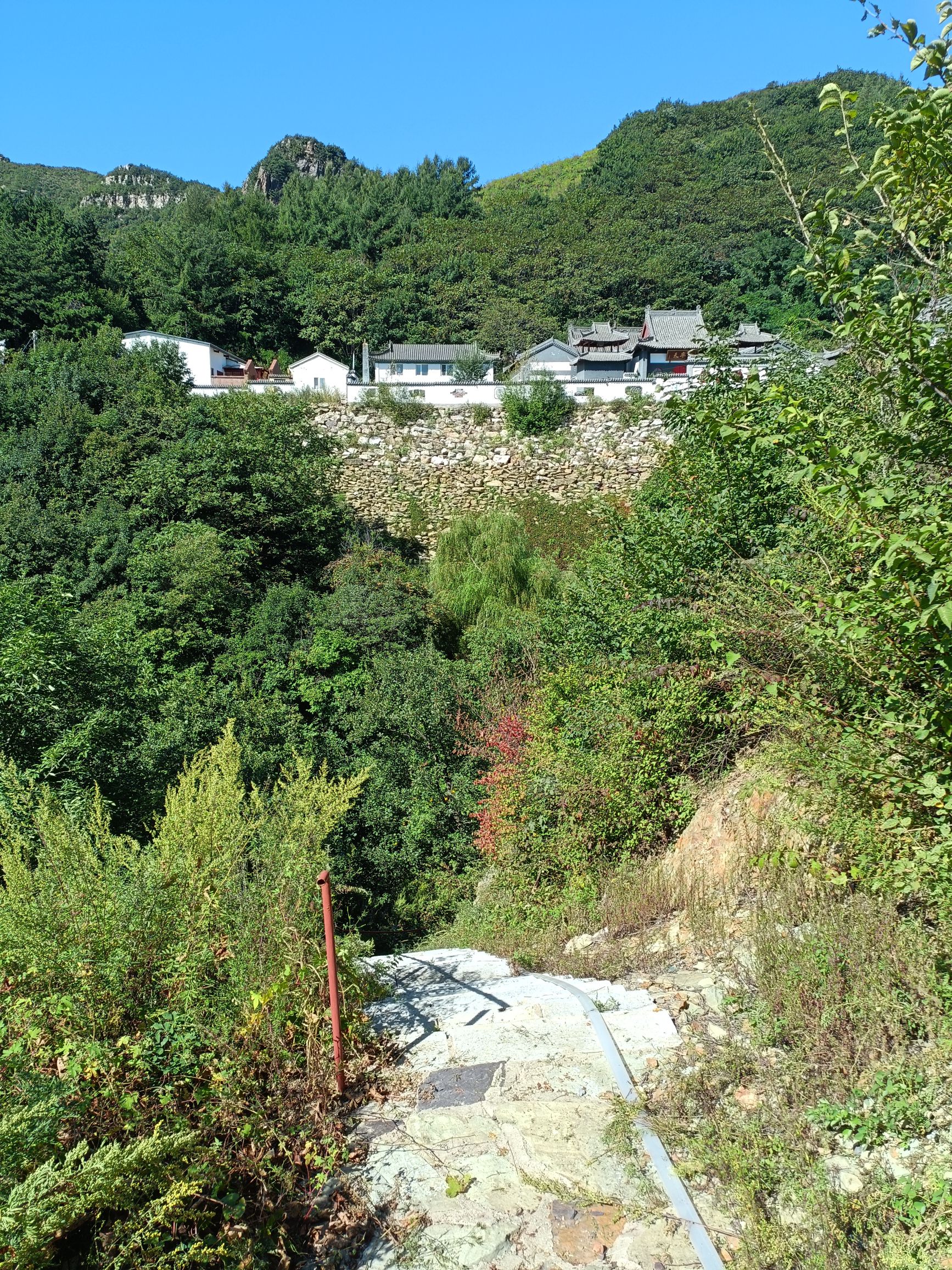 观音宝阁寺实景照片