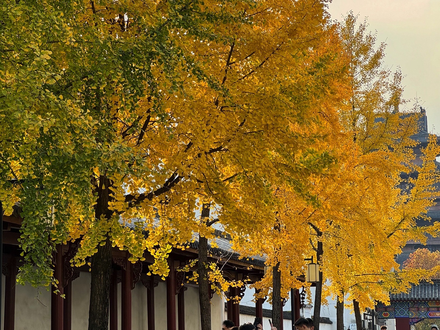 归元禅寺-归元古刹实景照片