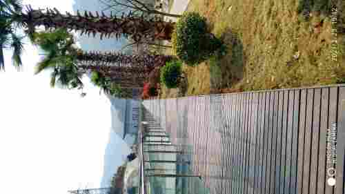 乾池公园旅行图片 3