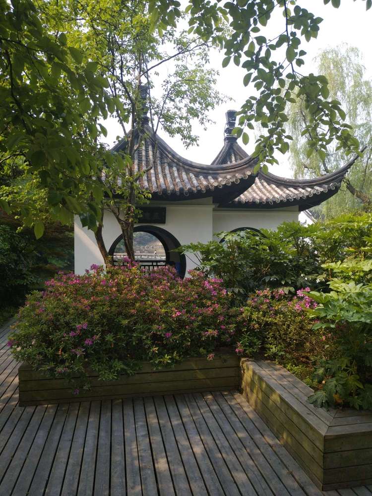 红梅公园景点图片
