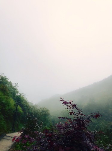 芙蓉山森林公园旅行图片 3