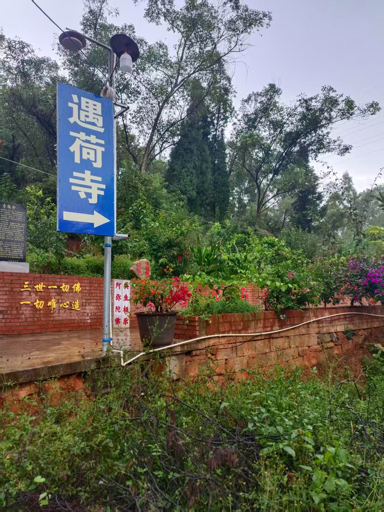 遇荷寺实景照片