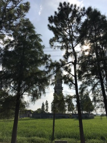 蜚英塔旅行图片 1
