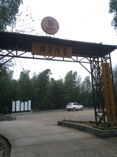 高田禅海原乡景区旅行图片 1