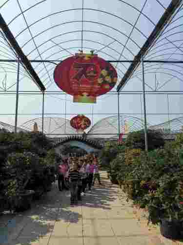蒙山桂花园旅行图片 2