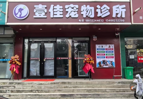 壹佳宠物诊所
