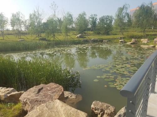 东北大学浑南校区小南湖公园旅行图片 3