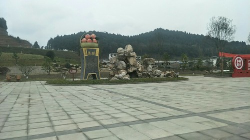 桃博园旅行图片 2