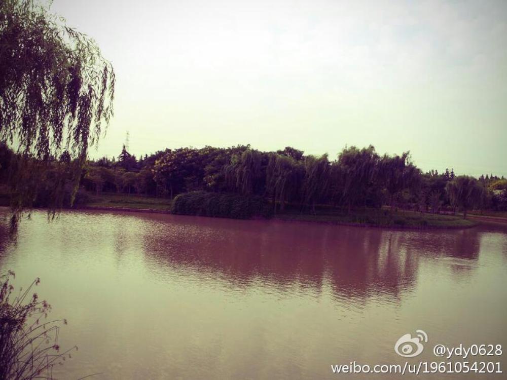 华夏公园景点图片