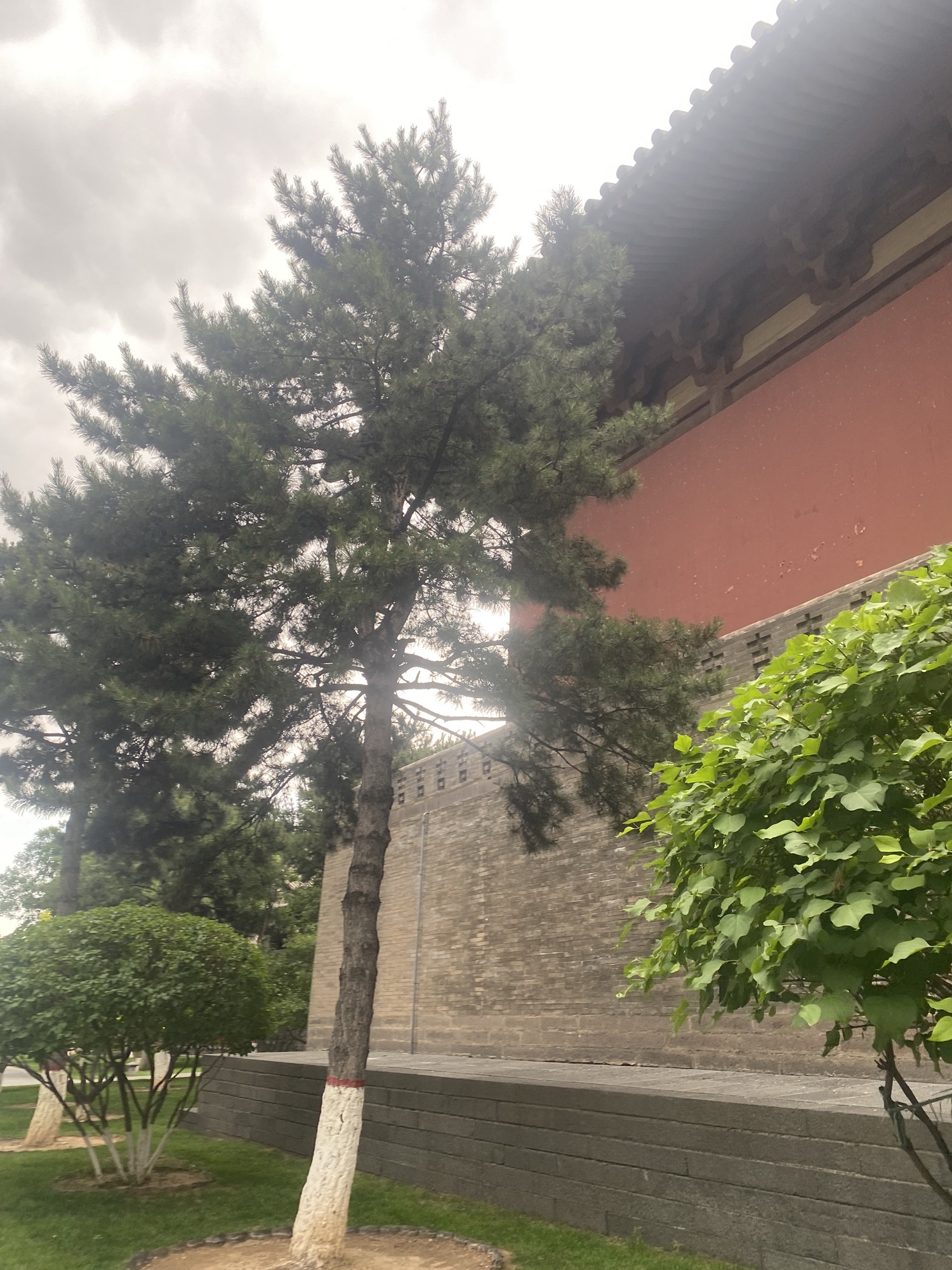 千手观音殿实景照片