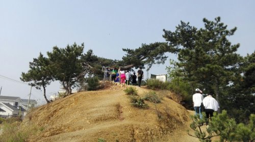 劲松园风景区旅行图片 3