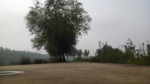 武河湿地公园旅行图片 2