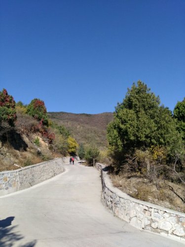 1105瞭望塔旅行图片 3