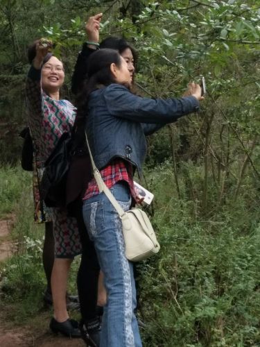 十里荷画景区旅行图片 3