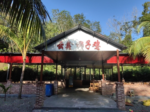云鑫椰子鸡