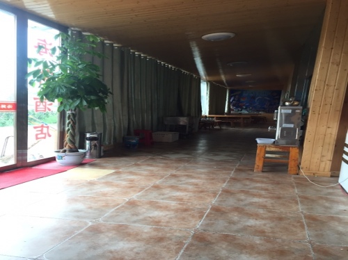 临泉县绿叶发展文化产业观光园旅行图片 1