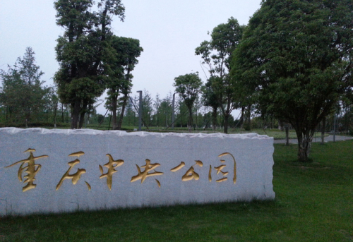 重庆永川中央公园旅行图片 1