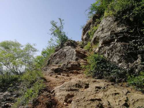 鹿鸣山风景区旅行图片 3