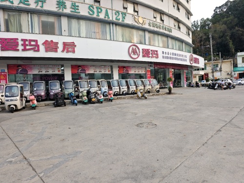 爱玛电动车总店(中心大道店)