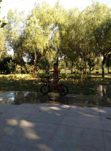 兴华公园旅行图片 1